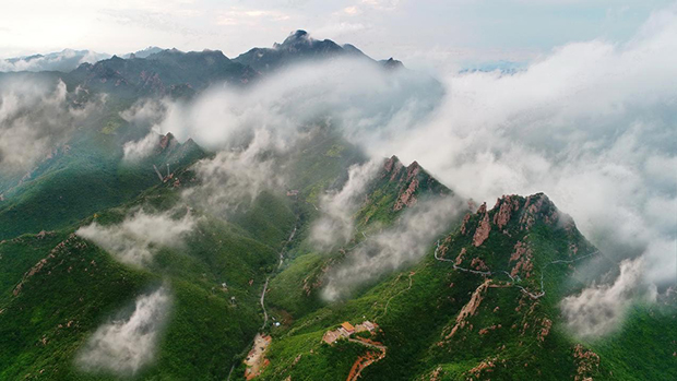 image005.jpg image005.jpg