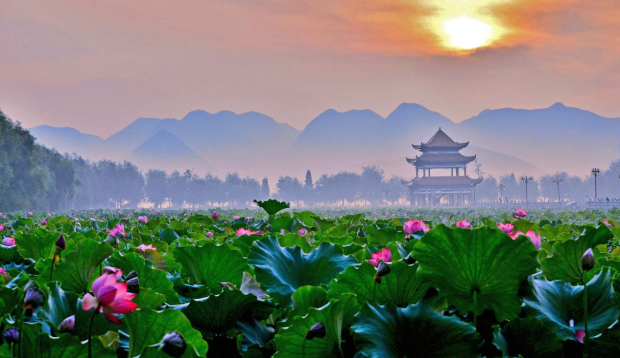 image005 (2).jpg image005 (2).jpg