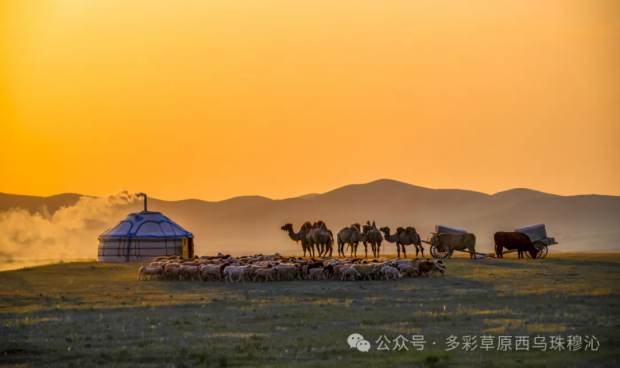 640 (9).jpg 640 (9).jpg